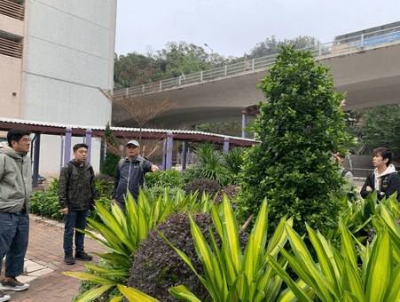 Horticulture and Beautification